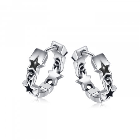 Cercei inox cu stelute