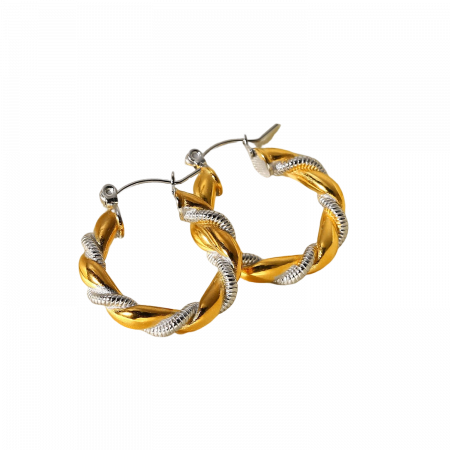 Cercei  inox rotunzi in 2 culori [5]