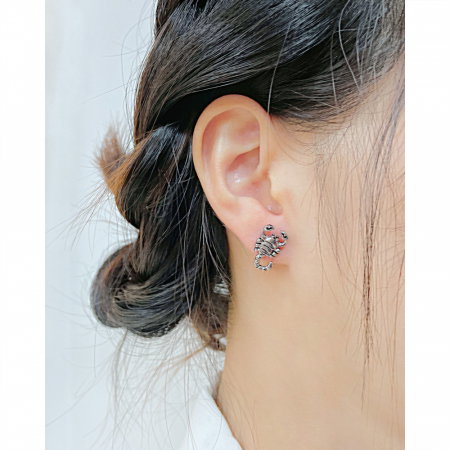 Cercei inox scorpion [1]