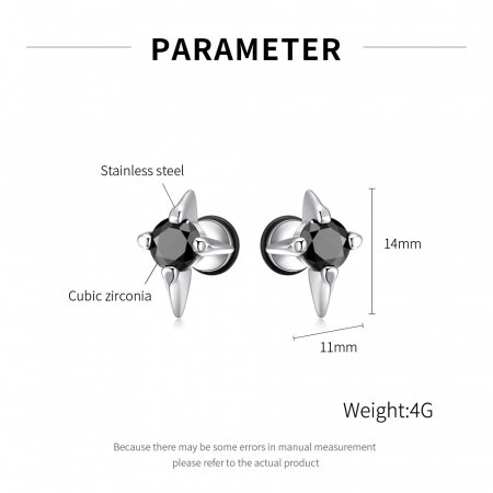 Cercei inox stelute cu zirconiu [4]