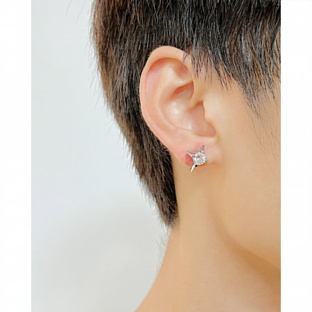 Cercei inox stelute cu zirconiu [1]