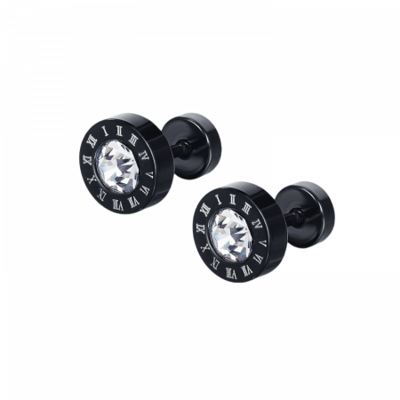 Cercei rotunzi din inox cu zirconii