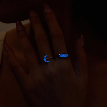 Inel argint reglabil cer instelat cu piatra luminiscenta [11]