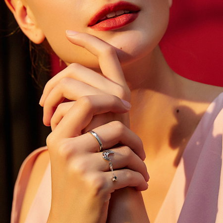 Inel argint simplu [6]