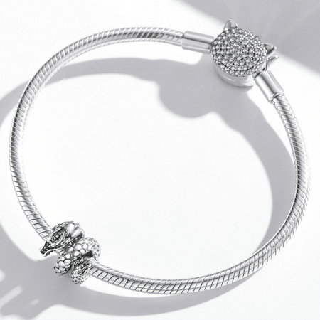 Pandantiv argint  cu dragon acvatic [2]