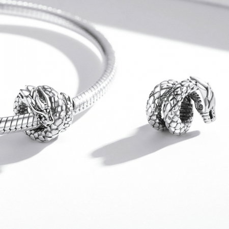 Pandantiv argint  cu dragon acvatic [3]