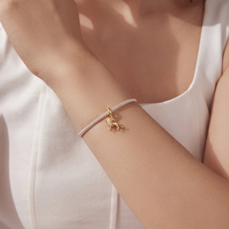 Pandantiv argint leu [4]