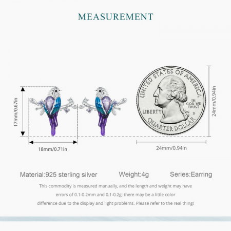 Set argint cu pasarele colorate [13]