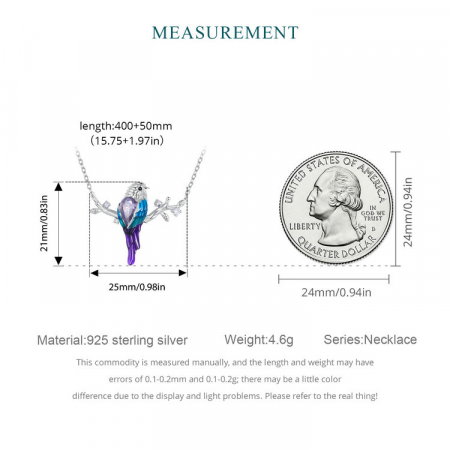 Set argint cu pasarele colorate [16]