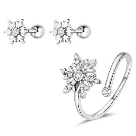 Set argint fulgi de nea [2]