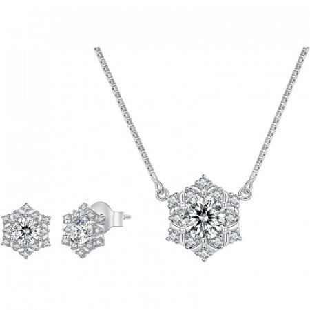 Set argint fulgi de nea