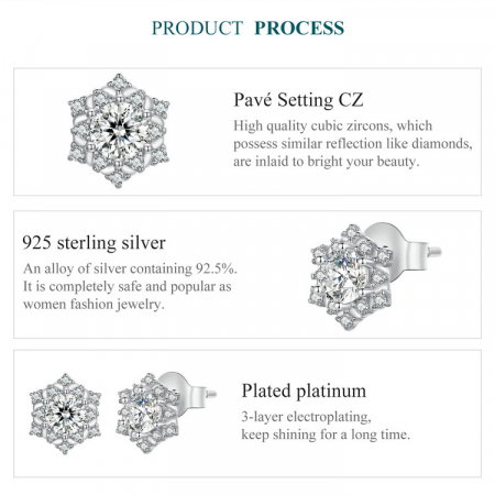 Set argint fulgi de nea [11]