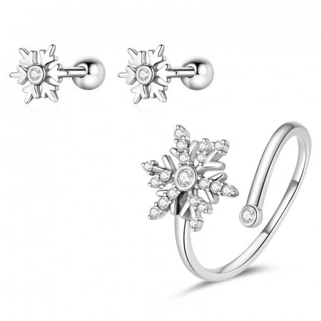 Set argint fulgi de nea