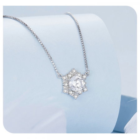 Set argint fulgi de nea [3]