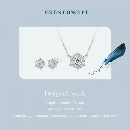 Set argint fulgi de nea [5]