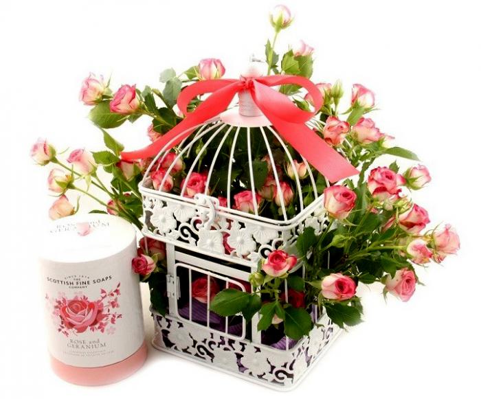 101 Roses "Chained To Love" [1]