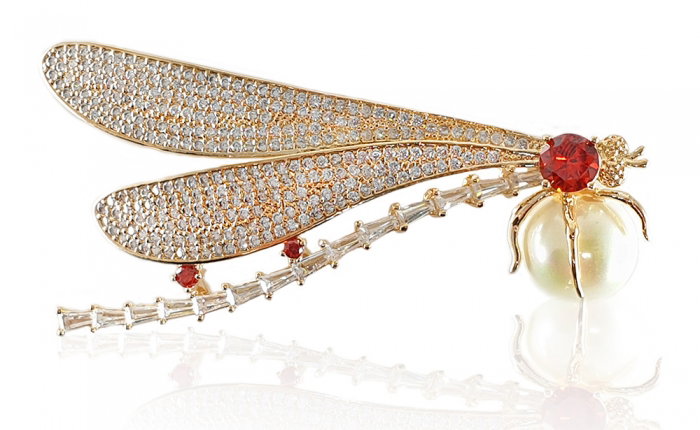 Brosa Red Dragon-Fly by Borealy [1]