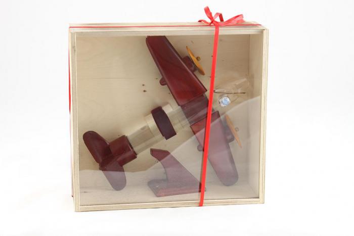 Aircraft with romanian traditional drink [1]