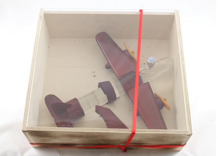 Aircraft with romanian traditional drink [3]