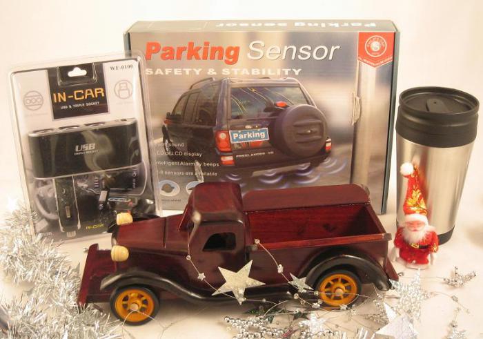 Cadou: Parking and Driving Man [1]