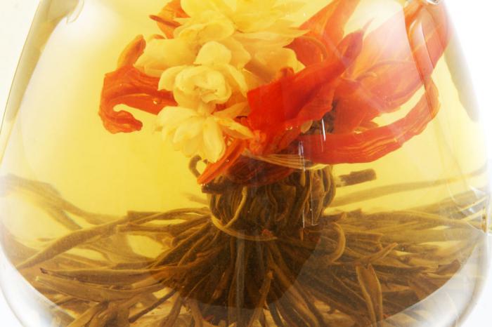 Ceainic Sticla & 10 Ceaiuri Blooming TEA [8]