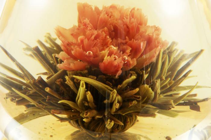 Ceainic Sticla & 10 Ceaiuri Blooming TEA [7]