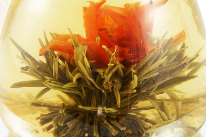 Ceainic Sticla & 10 Ceaiuri Blooming TEA [6]