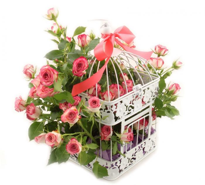 101 Roses "Chained To Love" [5]