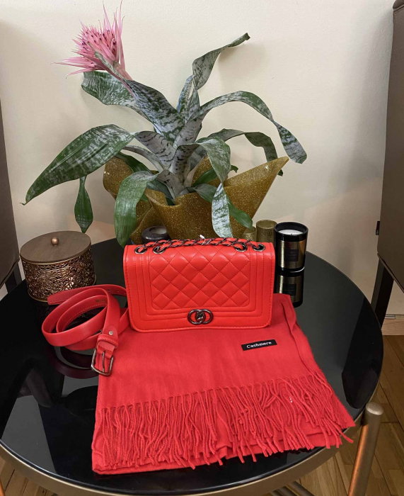 Red Winter Set Geanta, Curea si Esarfa Casmir [9]