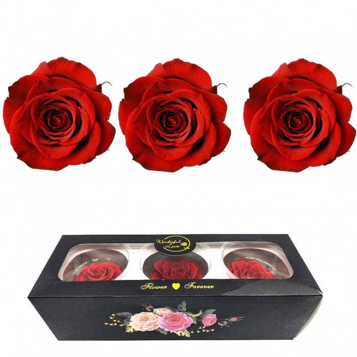 Set 3 Trandafiri Criogenati [1]
