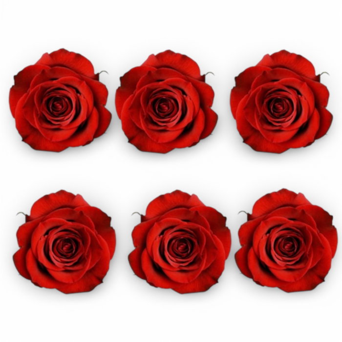 Set 6 Trandafiri Criogenați Roșii – Cadou Valentine’s Day | Borealy [1]