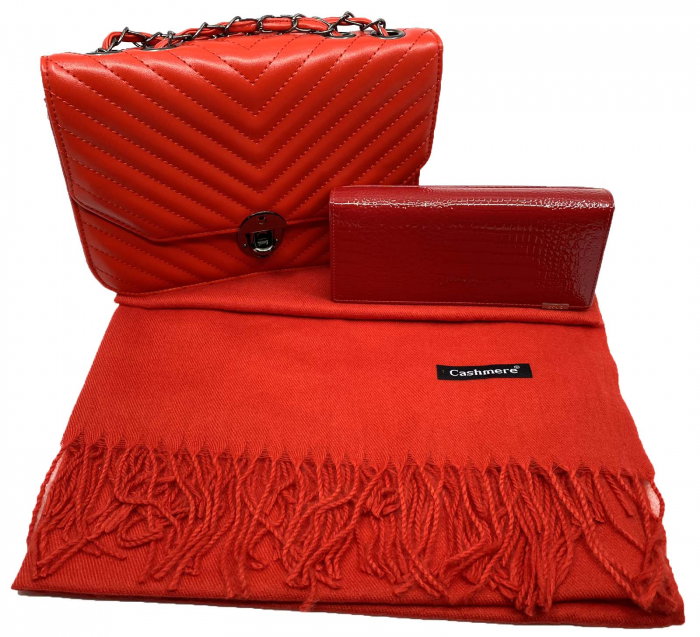 Red Glam Set Geanta, Portofel si Esarfa Casmir [1]