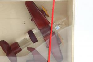 Aircraft with romanian traditional drink [1]