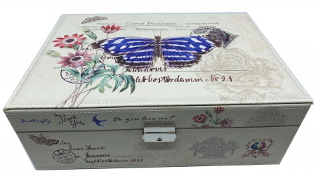Cutie bijuterii Vintage Blue Butterfly [0]