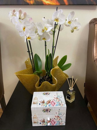 Cutie muzicala din lemn pentru bijuterii Shabby Chic [3]