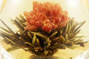 Blooming Flower Tea Set [7]
