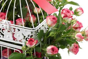 101 Roses "Chained To Love" [1]