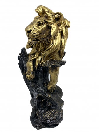 Magnificent Lion King [1]