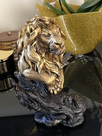 Magnificent Lion King [3]