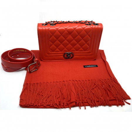 Red Winter Set Geanta, Curea si Esarfa Casmir [0]