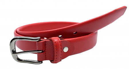Red Winter Set Geanta, Curea si Esarfa Casmir [6]