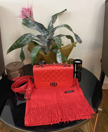 Red Winter Set Geanta, Curea si Esarfa Casmir [8]