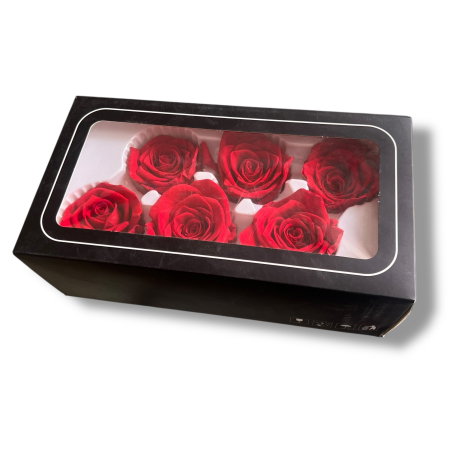 Set 6 Trandafiri Criogenați Roșii – Cadou Valentine’s Day | Borealy [3]