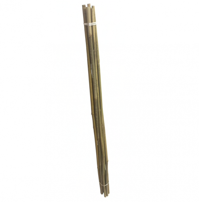 Set 10 araci din bambus Strend Pro KBT 2100/8-12 mm [1]