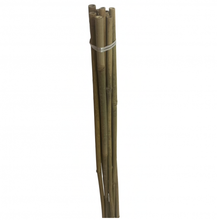 Set 10 araci din bambus Strend Pro KBT 2100/8-12 mm [1]