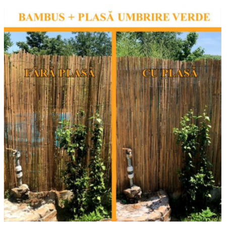 Gard, paravan din bambus natural 1,5x5 m [2]