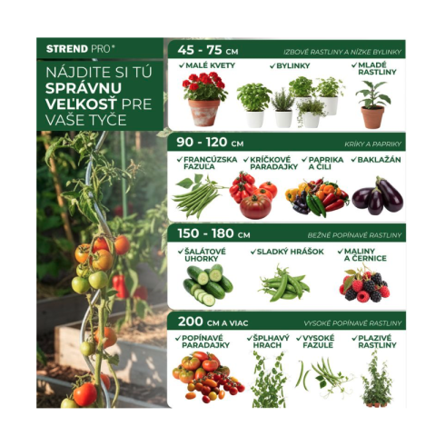 Set 10 araci bambus Garden KBT, 900 mm, pentru plante și roșii [2]