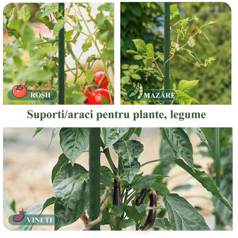 Arac metalic pentru plante și roșii 120 cm Strend Pro, suport verde PVC, 1.6 cm [1]