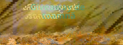 Regulamentul campaniei promoționale „Concurs Giveaway de Toamnă”