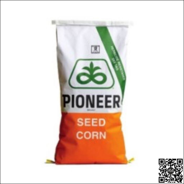 Semințe porumb P00199 grupa FAO 350 [1]